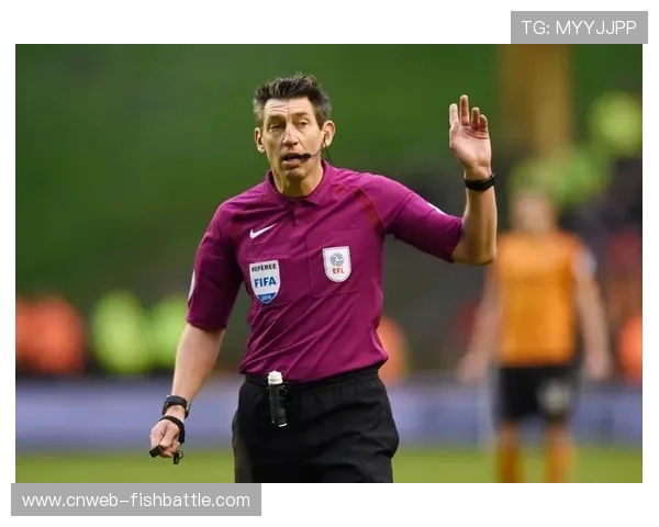 技术培训：英超裁判培训计划，提升执法水平